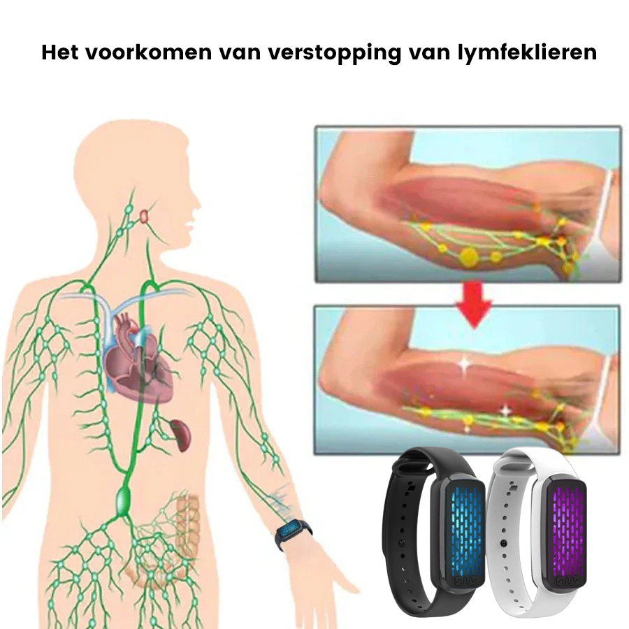 TrimToon™ | Bereik Jouw Droomlichaam in Slechts 7 Dagen!