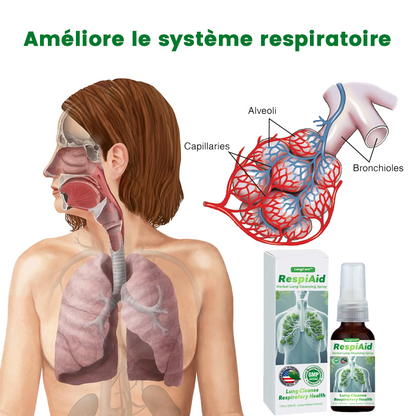 Aide pulmonaire™ | Spray nettoyant pour poumons à base de plantes 