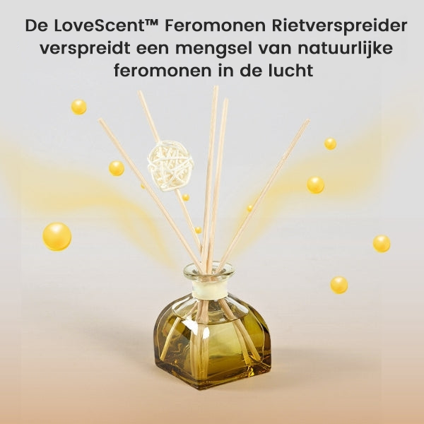 LoveScent™| Bâtonnets parfumés aux phéromones 