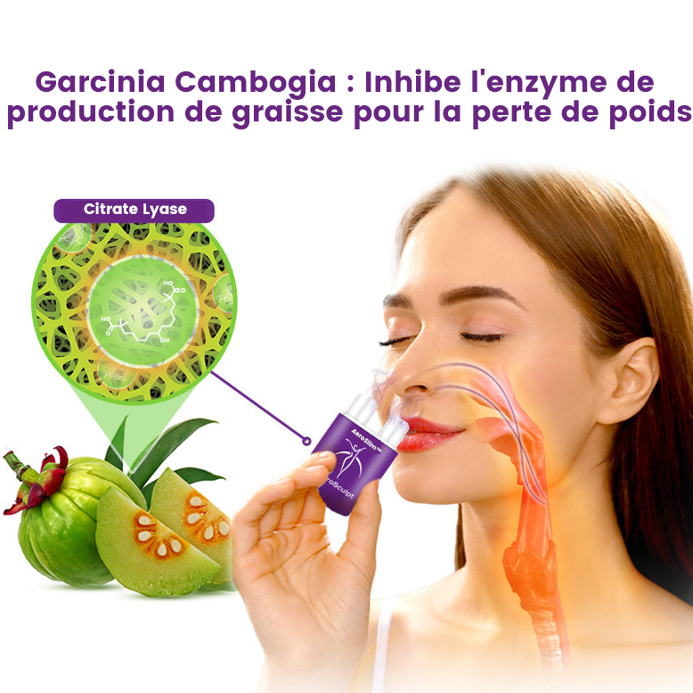 AeroSlim™ | Inhalateur Amincissant Régulateur d'Enzymes