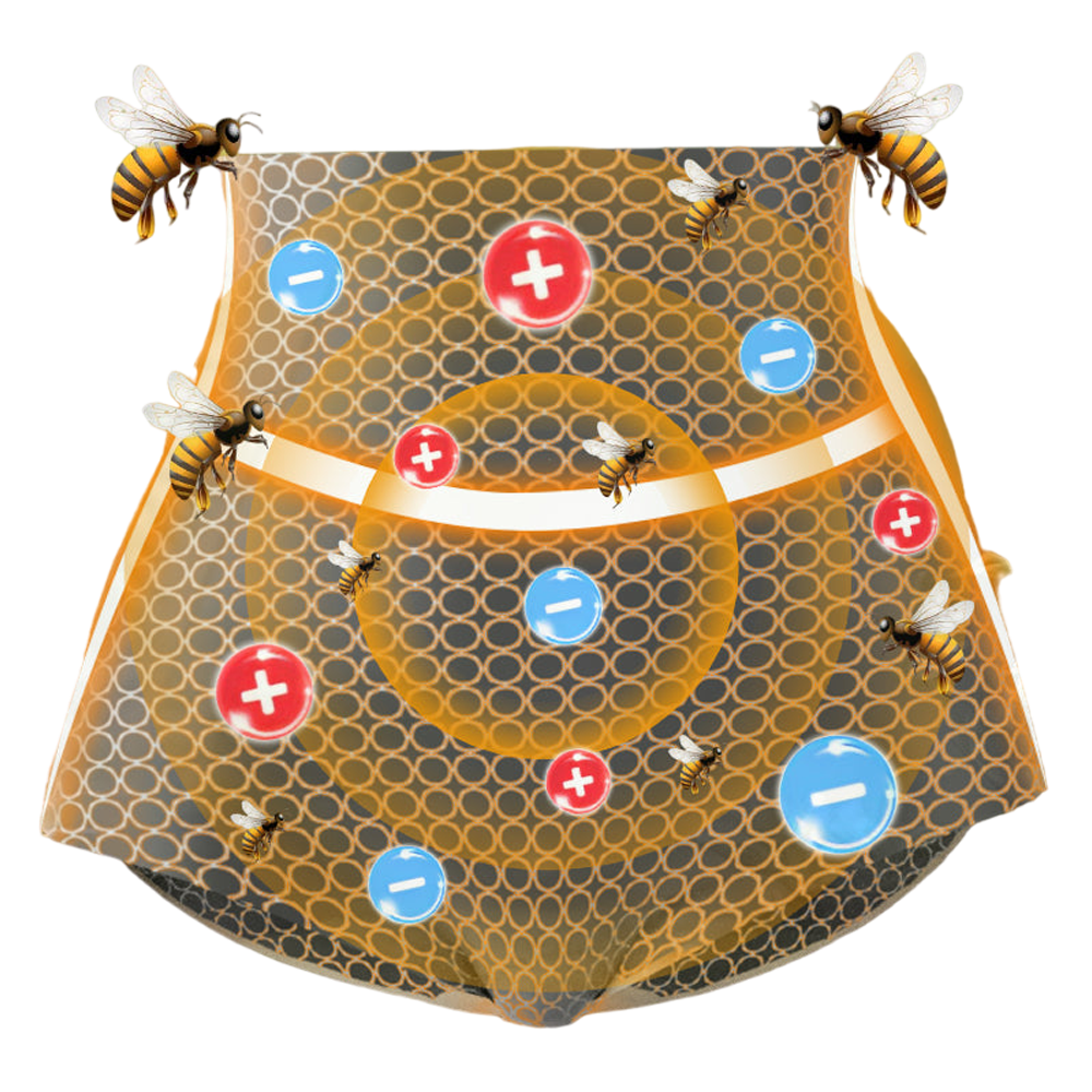 BeeSlim™ | IJs Ion Fiber Gevoel Bijengif Patch Stabilizer