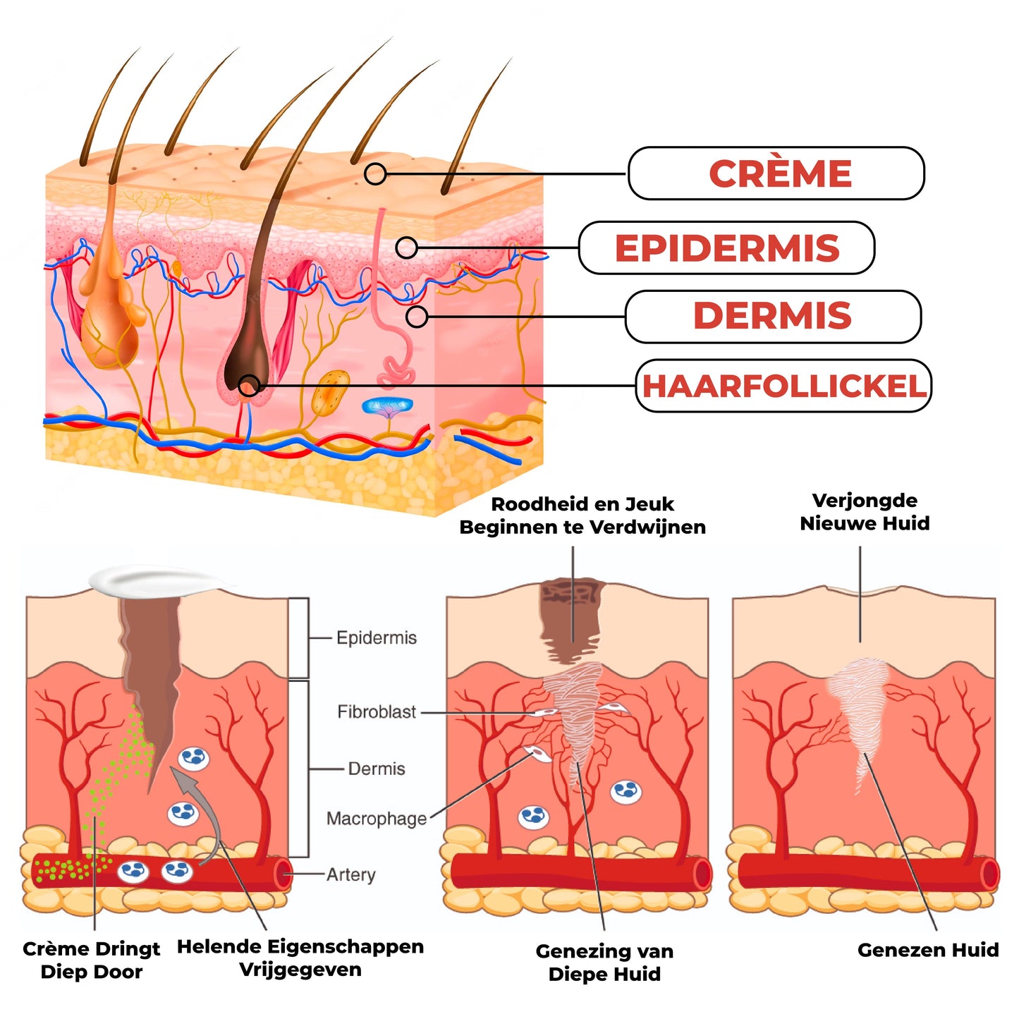 HuidHeeler™ | Acne & Keratosis Reinigingscrème